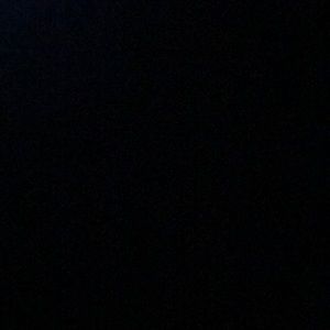 Meet your Posher, Dexter